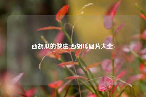 西胡瓜的做法(西胡瓜图片大全)