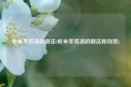 虾米冬瓜汤的做法(虾米冬瓜汤的做法和功效)