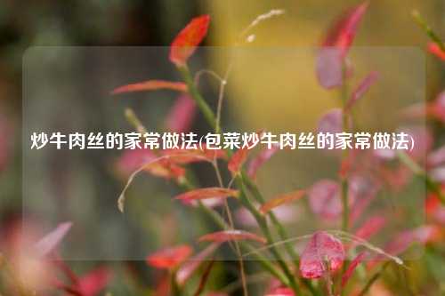 炒牛肉丝的家常做法(包菜炒牛肉丝的家常做法)