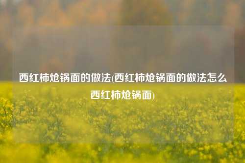 西红柿炝锅面的做法(西红柿炝锅面的做法怎么西红柿炝锅面)