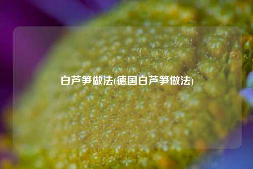 白芦笋做法(德国白芦笋做法)