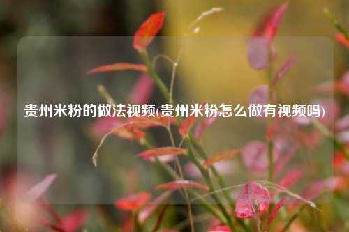 贵州米粉的做法视频(贵州米粉怎么做有视频吗)