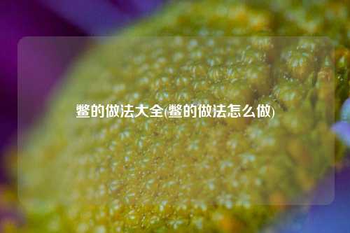 鳖的做法大全(鳖的做法怎么做)