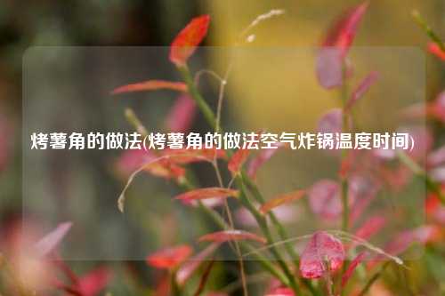 烤薯角的做法(烤薯角的做法空气炸锅温度时间)