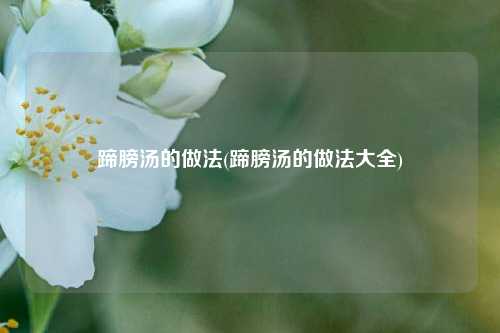 蹄膀汤的做法(蹄膀汤的做法大全)