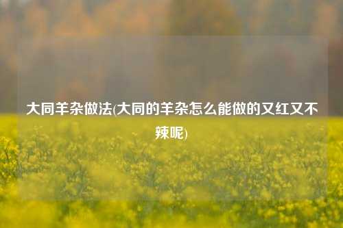 大同羊杂做法(大同的羊杂怎么能做的又红又不辣呢)
