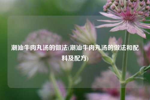 潮汕牛肉丸汤的做法(潮汕牛肉丸汤的做法和配料及配方)