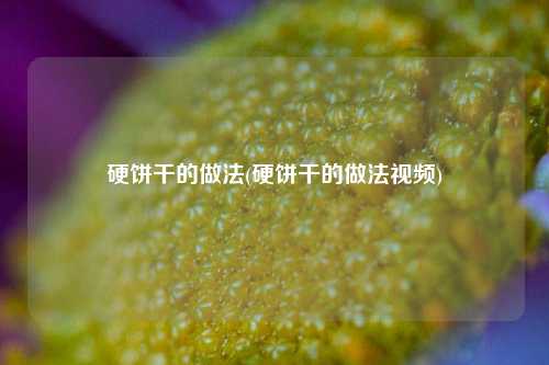硬饼干的做法(硬饼干的做法视频)