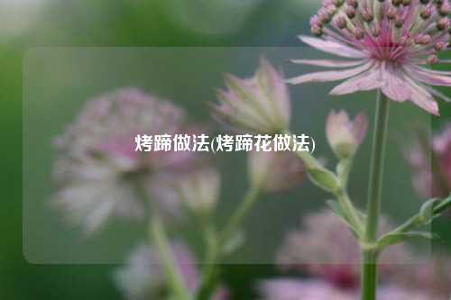 烤蹄做法(烤蹄花做法)