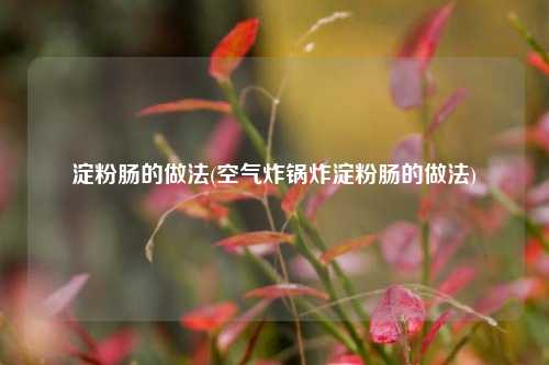 淀粉肠的做法(空气炸锅炸淀粉肠的做法)