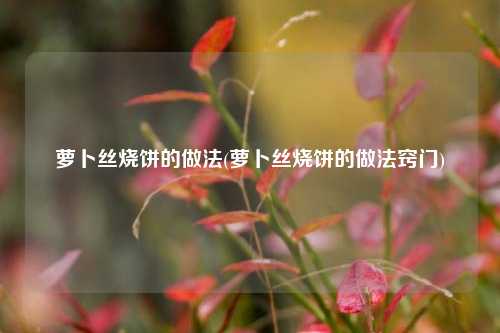 萝卜丝烧饼的做法(萝卜丝烧饼的做法窍门)