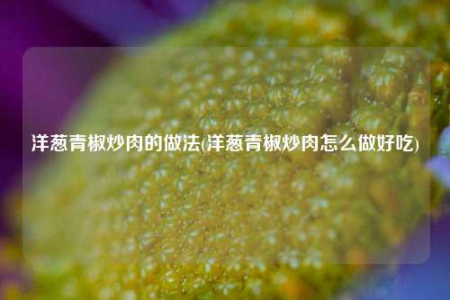 洋葱青椒炒肉的做法(洋葱青椒炒肉怎么做好吃)