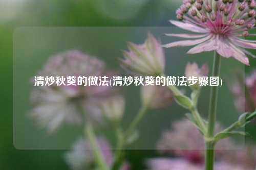 清炒秋葵的做法(清炒秋葵的做法步骤图)